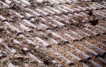 Corner roof cleaning companies